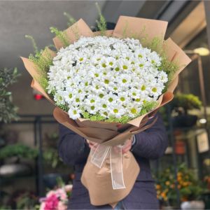 Konyaaltı Florist - Daisy & Gerbera