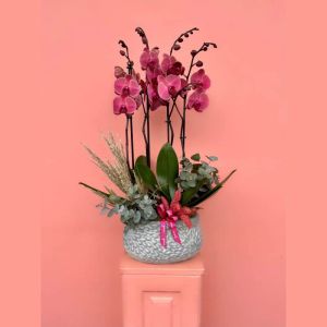  Konyaaltı Blumenlieferung - Die Orchideen