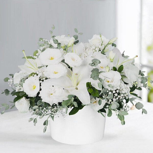 Konyaaltı Çiçekçi - Lilyum Zerafeti Beyaz Aranjman