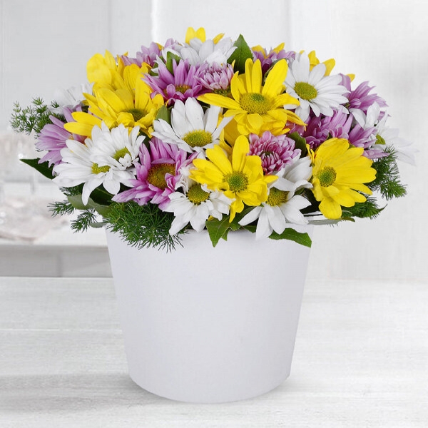  Konyaaltı Çiçek Siparişi - Kır Güzeli Mevsim Çiçekleri