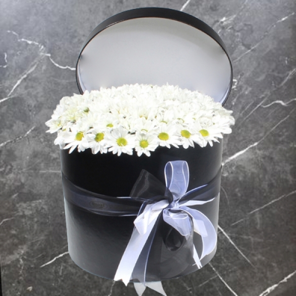  Konyaaltı Çiçek Gönder - Siyah Silindir Kutuda Beyaz Papatyalar