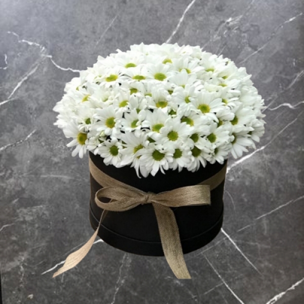  Konyaaltı Çiçekçiler - Silindir Kutuda Papatya Aranjmanı