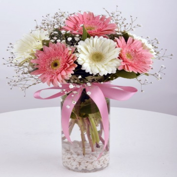  Konyaaltı Çiçekçiler - Hayallerimin Prensesi Gerbera