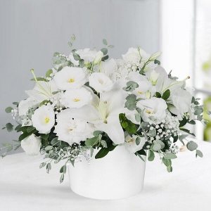Konyaaltı Çiçekçi - Lilyum Zerafeti Beyaz Aranjman