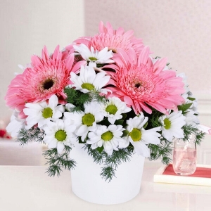  Konyaaltı Çiçekçiler - Gerbera Papatya Bahçesi