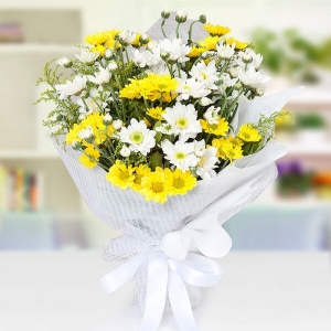  Konyaaltı Çiçek - Sarı Beyaz Papatyalar