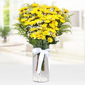  Konyaaltı Çiçek Gönder - Vazoda Sarı Papatyalar