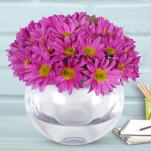  Konyaaltı Çiçek Siparişi - Gönlüm Sende Pembe Papatyalar