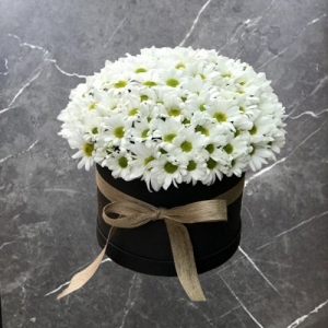  Konyaaltı Çiçekçiler - Silindir Kutuda Papatya Aranjmanı