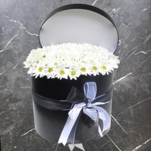  Konyaaltı Çiçek - Siyah Silindir Kutuda Beyaz Papatyalar