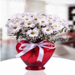  Konyaaltı Çiçekçiler - Kalp Vazo Papatya Çiçekleri