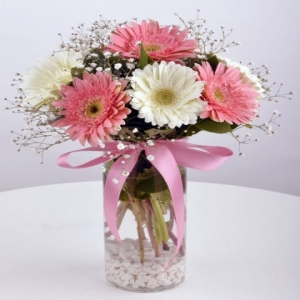  Konyaaltı Çiçekçiler - Hayallerimin Prensesi Gerbera