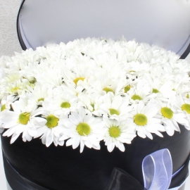  Konyaaltı Çiçek Gönder Siyah Silindir Kutuda Beyaz Papatyalar